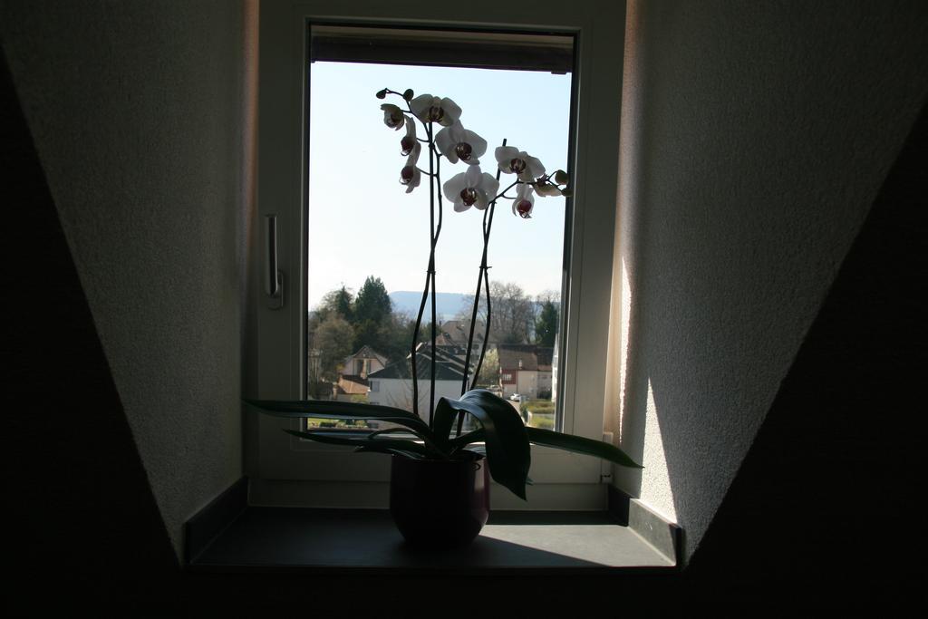 Hotel Eremitage Arlesheim Buitenkant foto